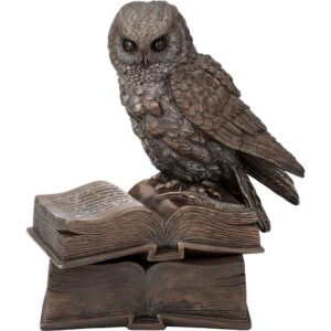 Perched Owl on Books Trinket Box