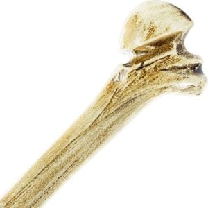 Troll's Femur LARP Club