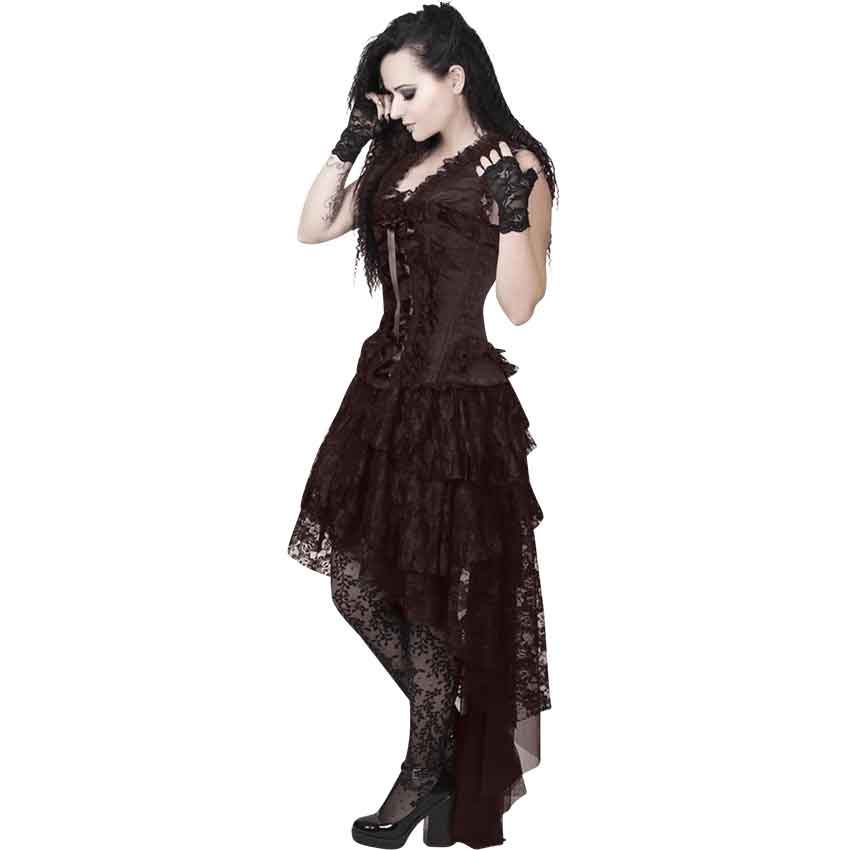 Ronnie Victorian Inspired Brown Corset Dress