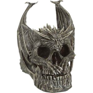 Draco Dragon Skull Statue