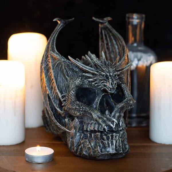 Draco Dragon Skull Statue