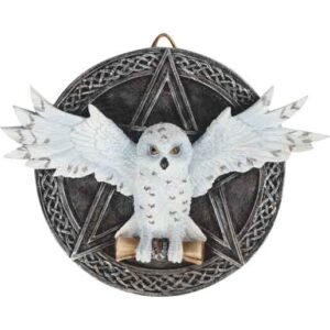 Flight of Mystic Owl Wall Plaque