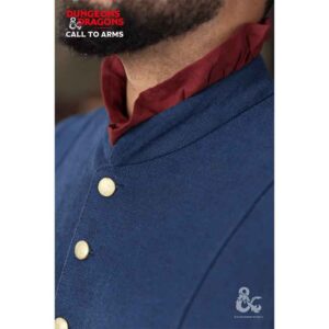 Dungeons & Dragons Bard Jerkin
