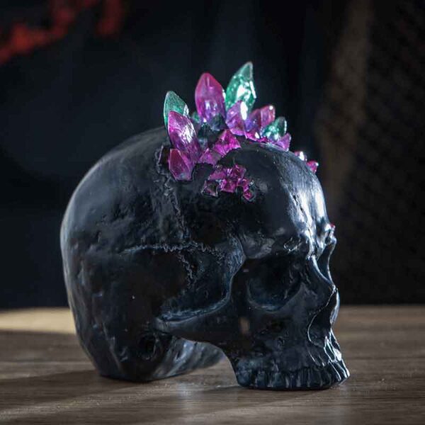 Black Skull Statue with Crystals