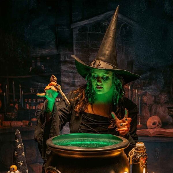 Rowan Wizard of the Realm Hat