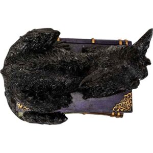 LED Wicked Black Cat on Books Statue