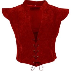 Antique Velvet Doublet