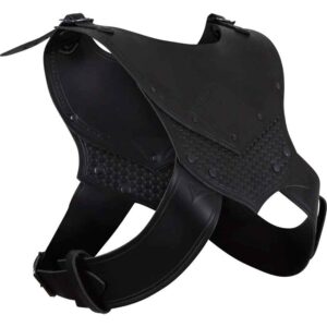 Deluxe Alistair Leather Gorget