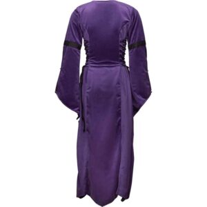 Antaris Velvet Dress