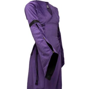 Antaris Velvet Dress