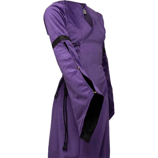 Antaris Velvet Dress