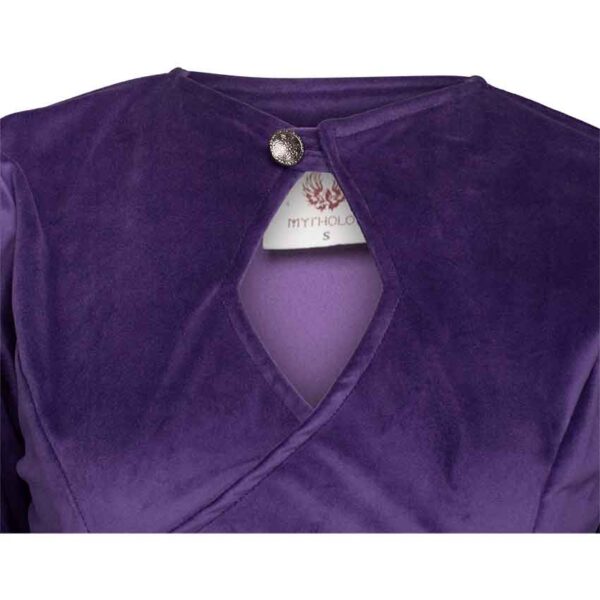 Antaris Velvet Dress