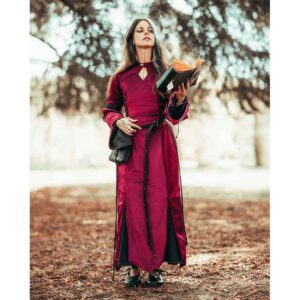 Antaris Velvet Dress