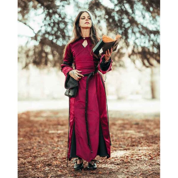 Antaris Velvet Dress