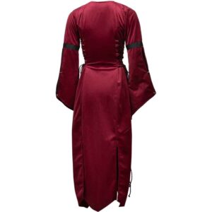 Antaris Velvet Dress