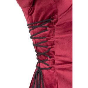 Antaris Velvet Dress