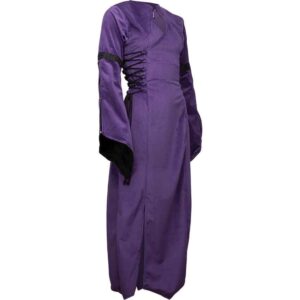 Antaris Velvet Dress