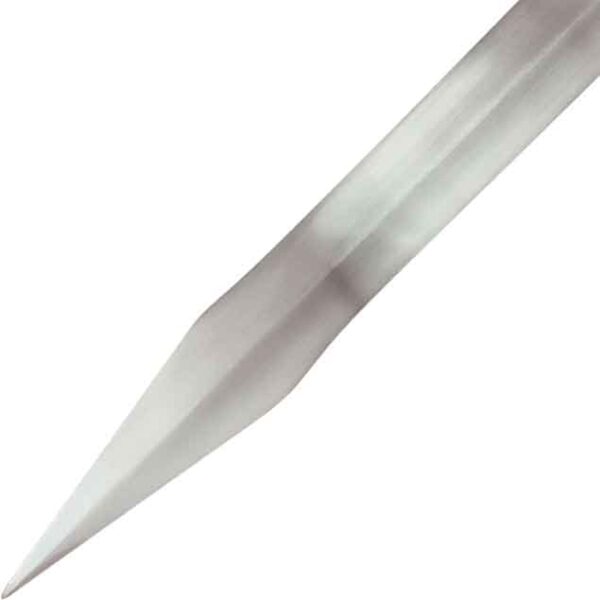 Roman Mainz Gladius with Brass Plated Scabbard