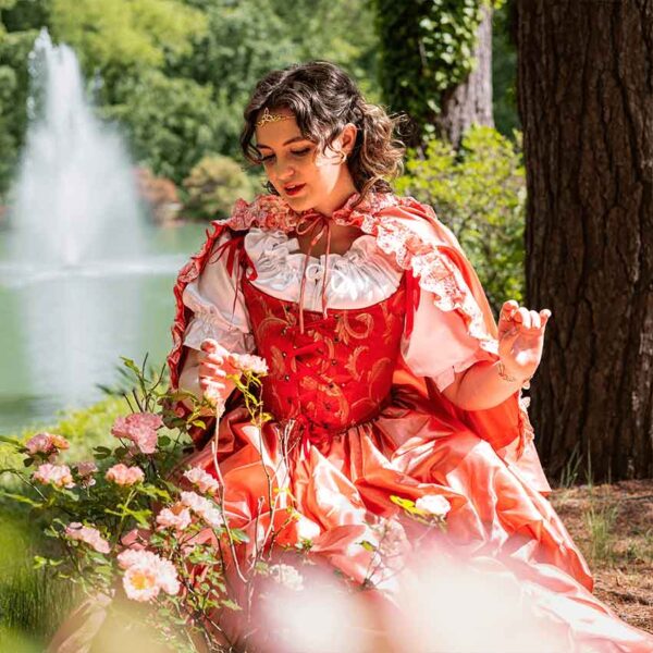 Enchanted Royal Princess Outfit