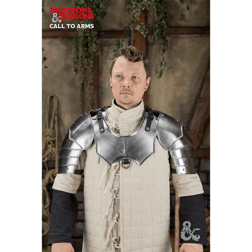 Dungeons & Dragons Steel Pauldrons - Polished