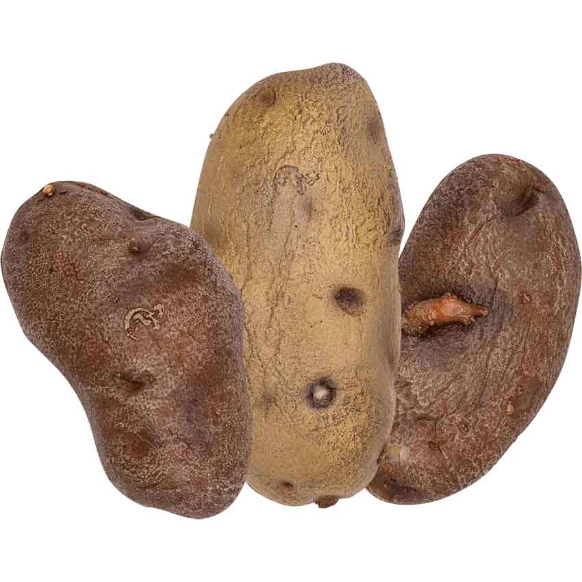 La Patate LARP Throwing Potato