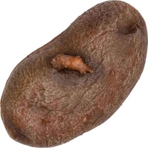 La Patate LARP Throwing Potato