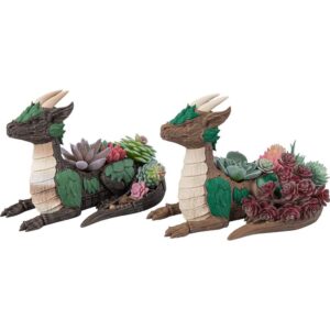 Leafy Dragon Succulent Planter