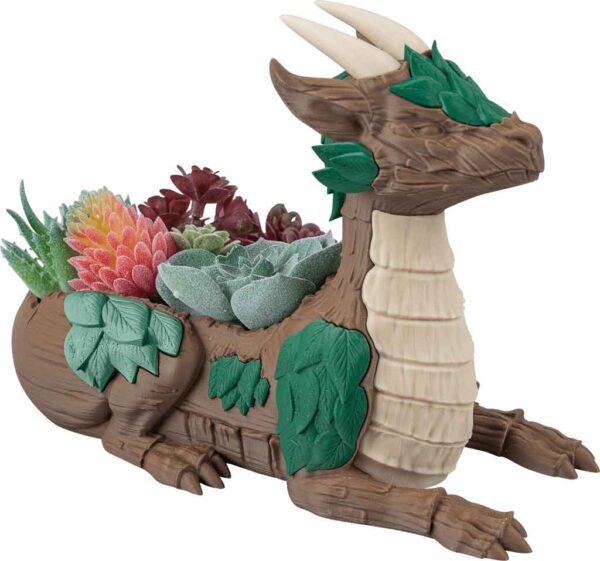 Leafy Dragon Succulent Planter