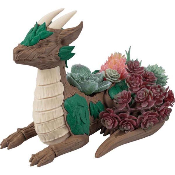 Leafy Dragon Succulent Planter