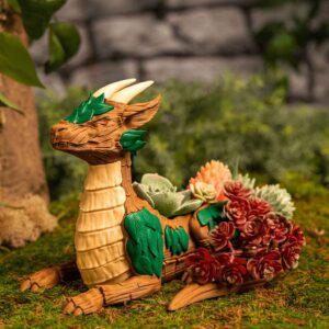 Leafy Dragon Succulent Planter
