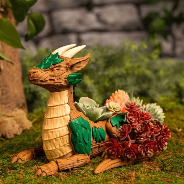 Leafy Dragon Succulent Planter