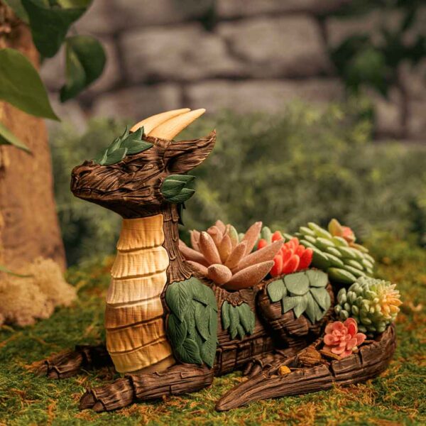 Leafy Dragon Succulent Planter