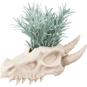Dragon Skull Planter