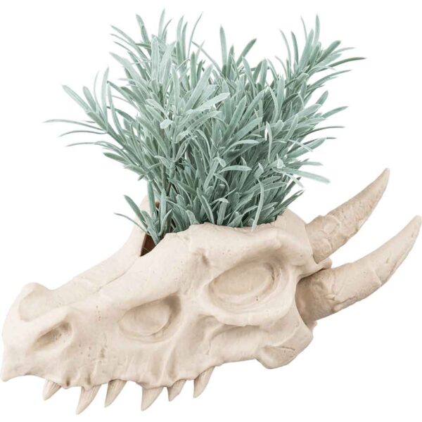 Dragon Skull Planter