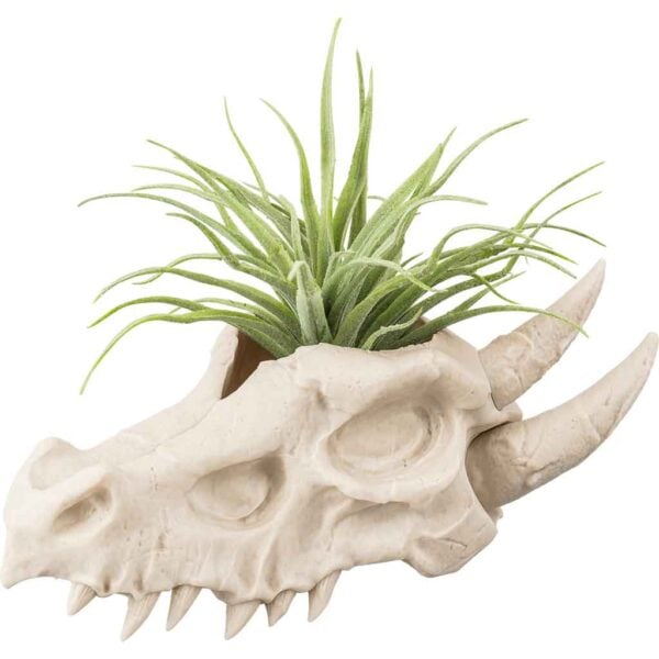 Dragon Skull Planter