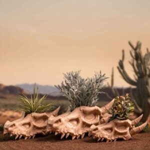 Dragon Skull Planter