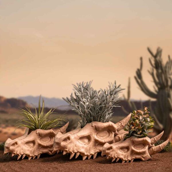 Dragon Skull Planter