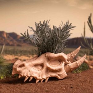 Dragon Skull Planter