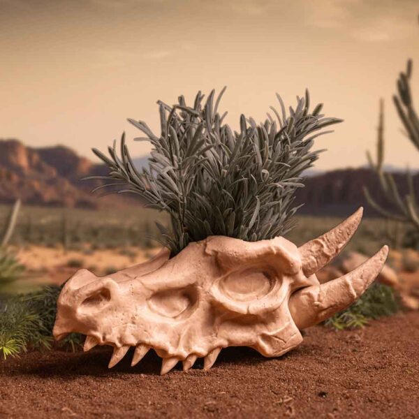 Dragon Skull Planter