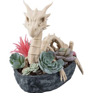 Dragon Skeleton Succulent Planter