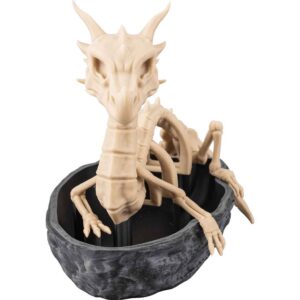 Dragon Skeleton Succulent Planter