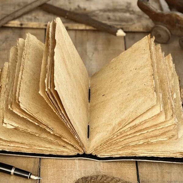 Grimoire Dragon Leather Journal