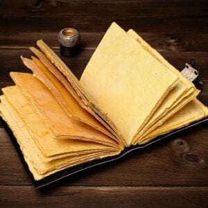 Dragon Hand Leather Journal