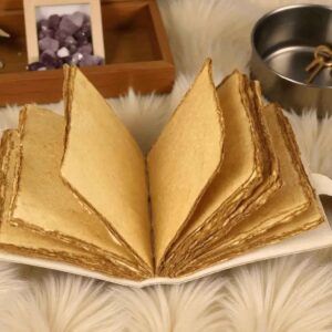 Flying Black Dragon Leather Journal