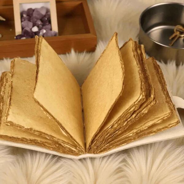 Flying Black Dragon Leather Journal