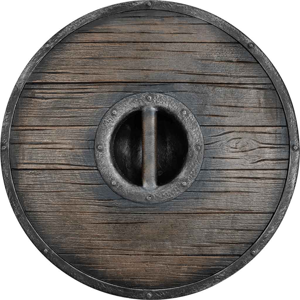 Fjorir Viking LARP Shield