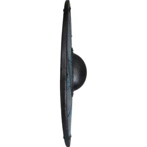 Fehu Viking LARP Shield