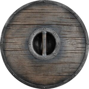 Fehu Viking LARP Shield
