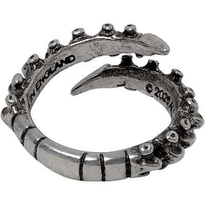 Spine Ring