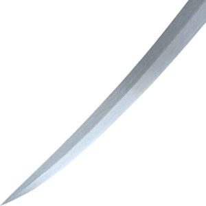 Dark Sentinel Sword